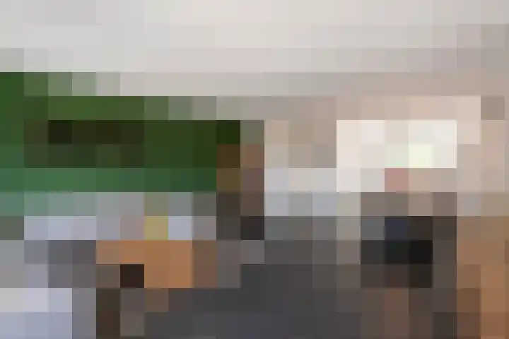 Het Reut 216 Berghem thumbnail 8