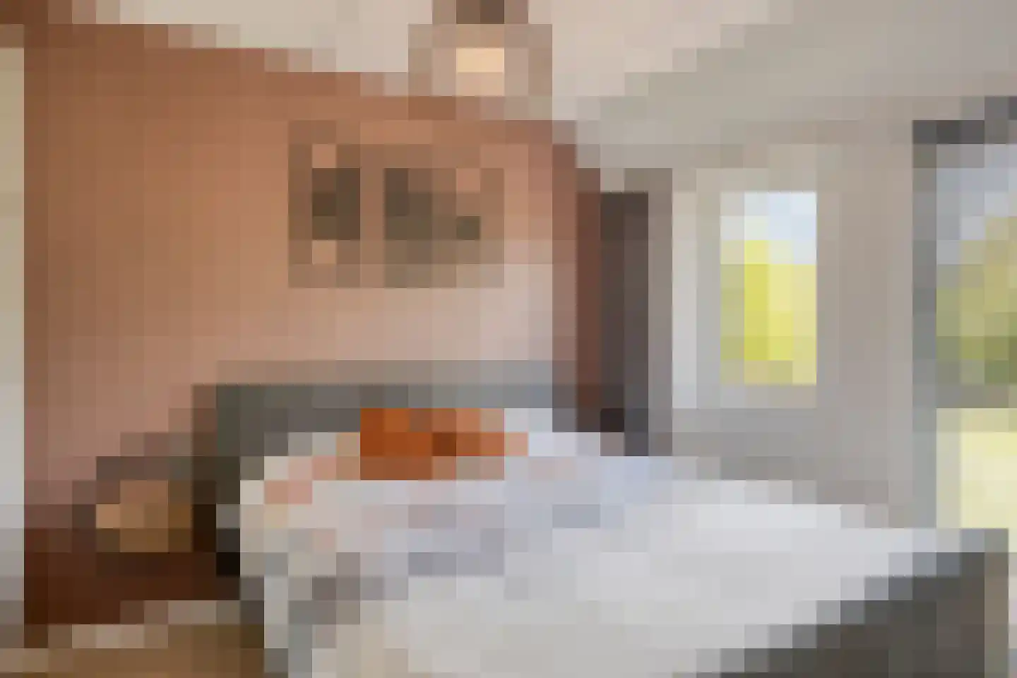 Het Reut 230 Berghem thumbnail 16