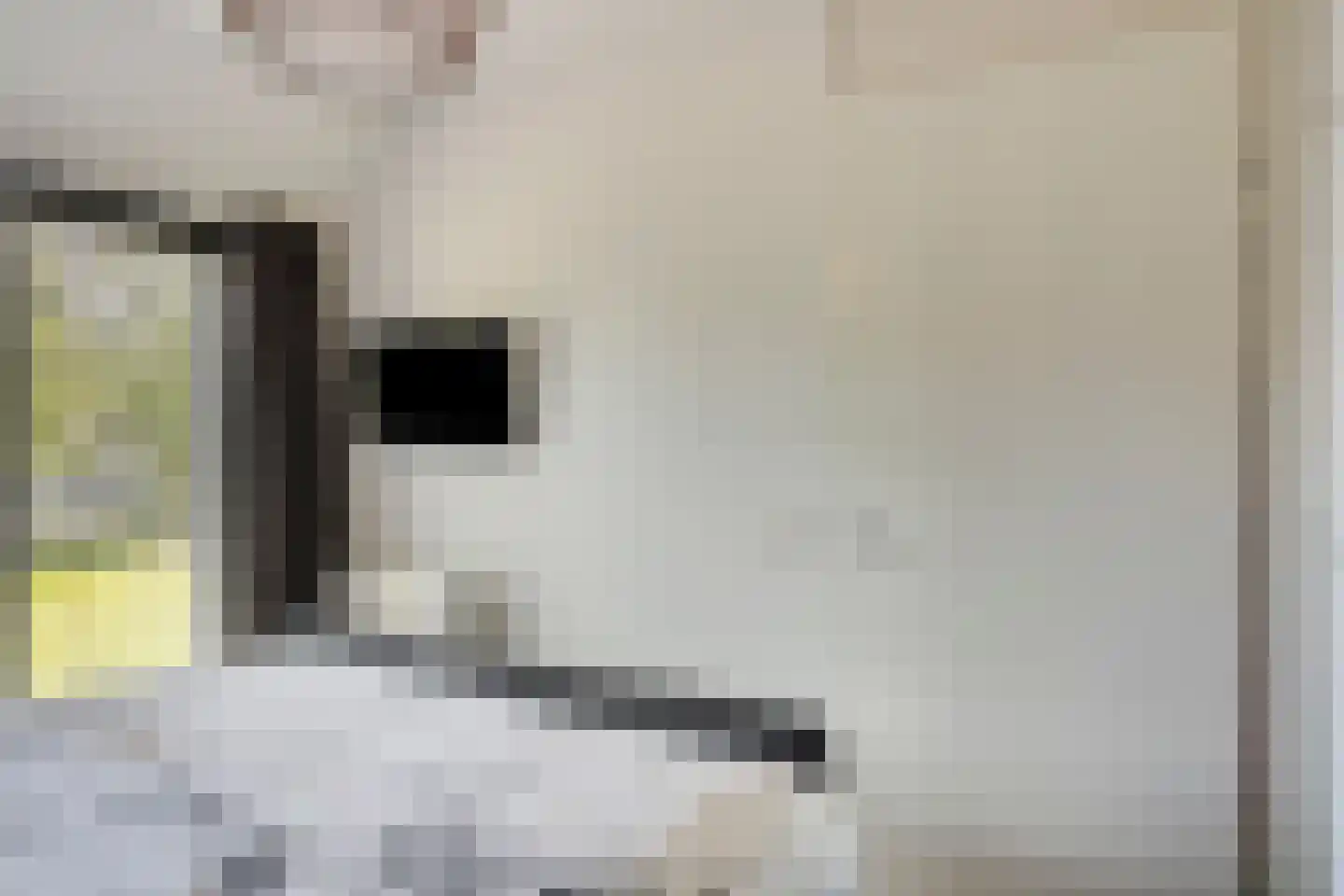 Het Reut 230 Berghem thumbnail 17