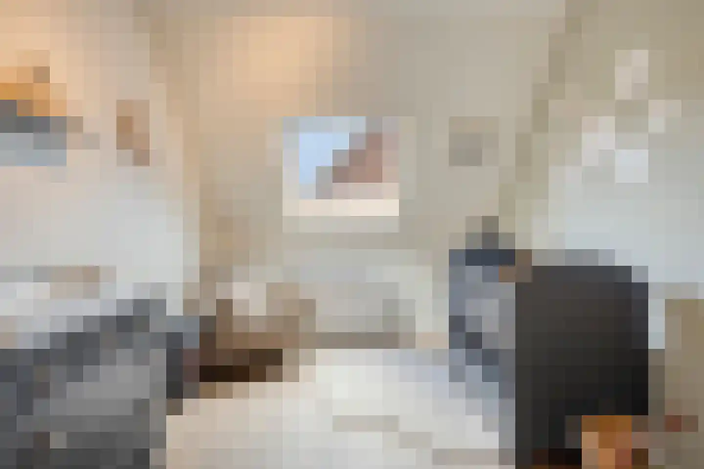 Het Reut 230 Berghem thumbnail 18