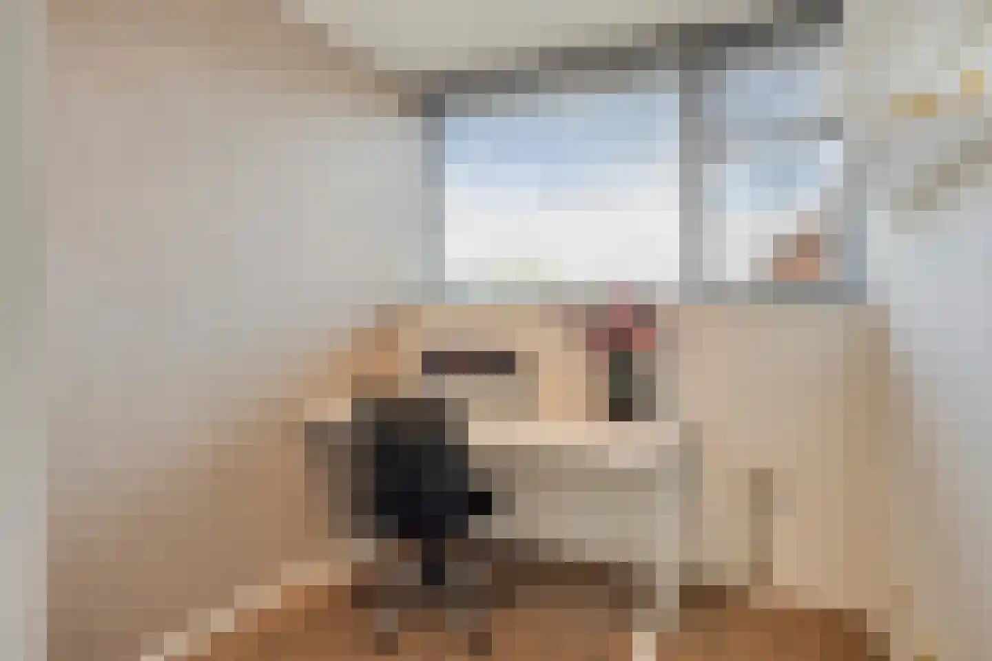 Het Reut 230 Berghem thumbnail 20