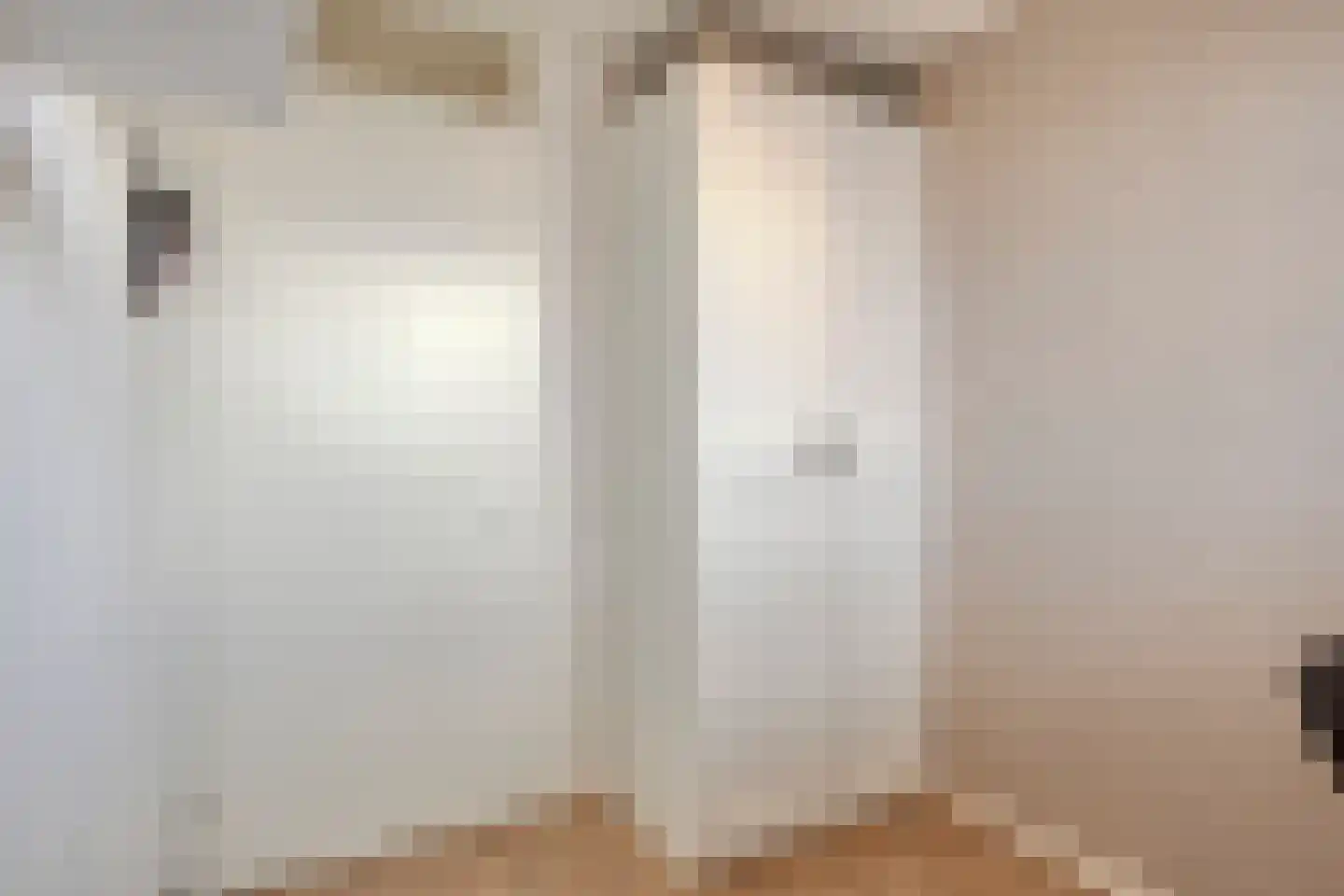Het Reut 230 Berghem thumbnail 21