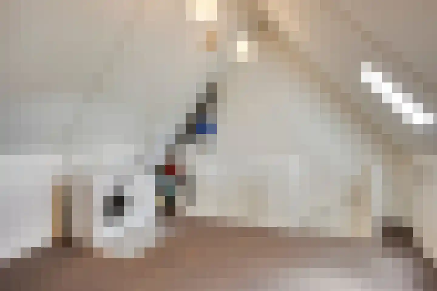 Het Reut 230 Berghem thumbnail 25