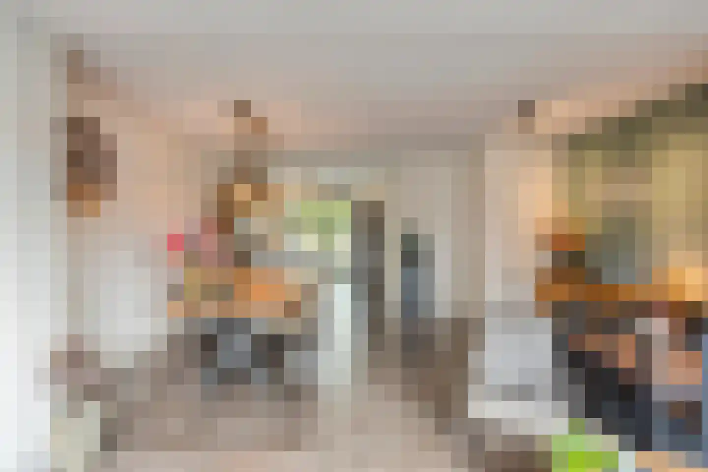 Het Reut 230 Berghem foto 3