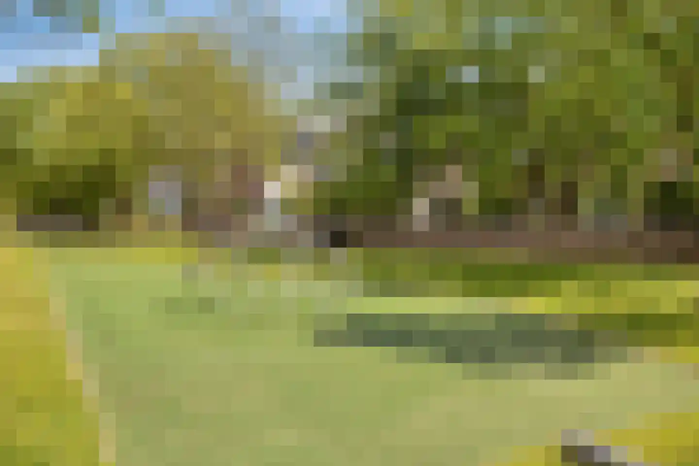 Het Reut 230 Berghem thumbnail 38