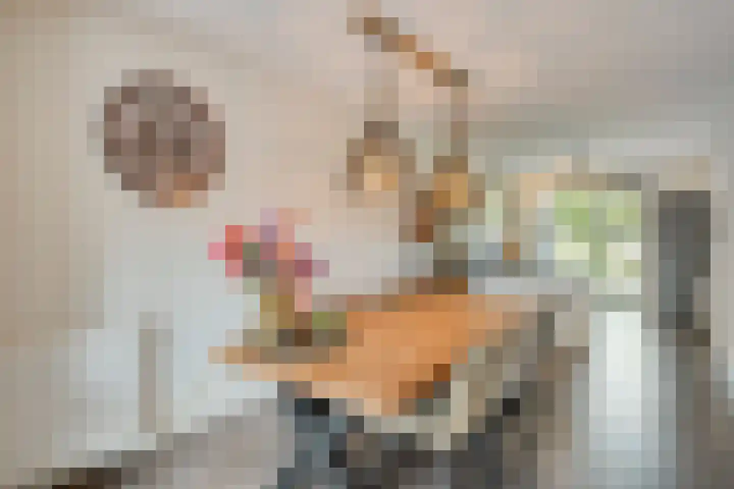 Het Reut 230 Berghem thumbnail 4