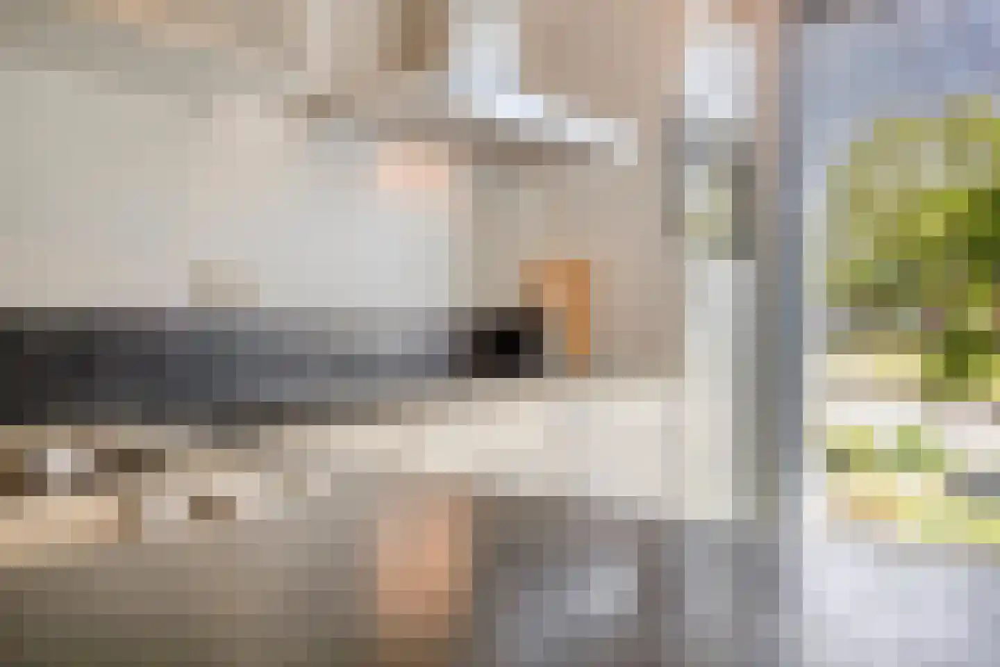 Het Reut 230 Berghem thumbnail 6