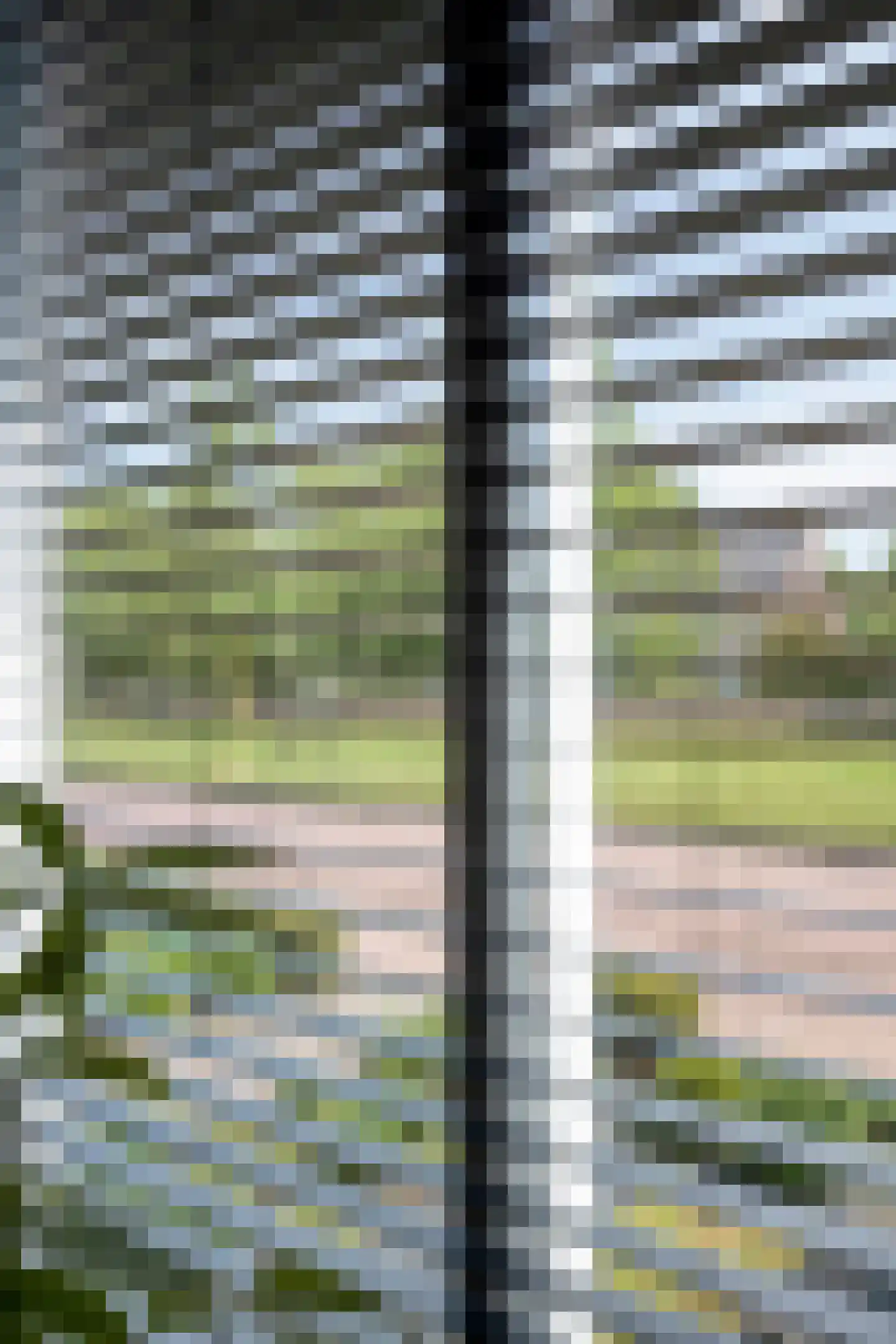 Het Reut 230 Berghem thumbnail 7