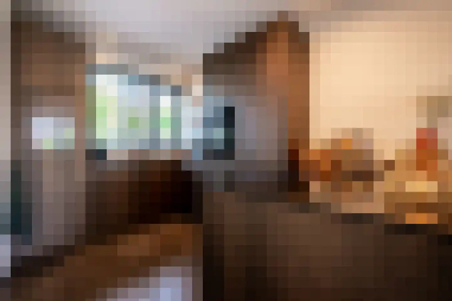 Het Reut 301 Berghem thumbnail 12