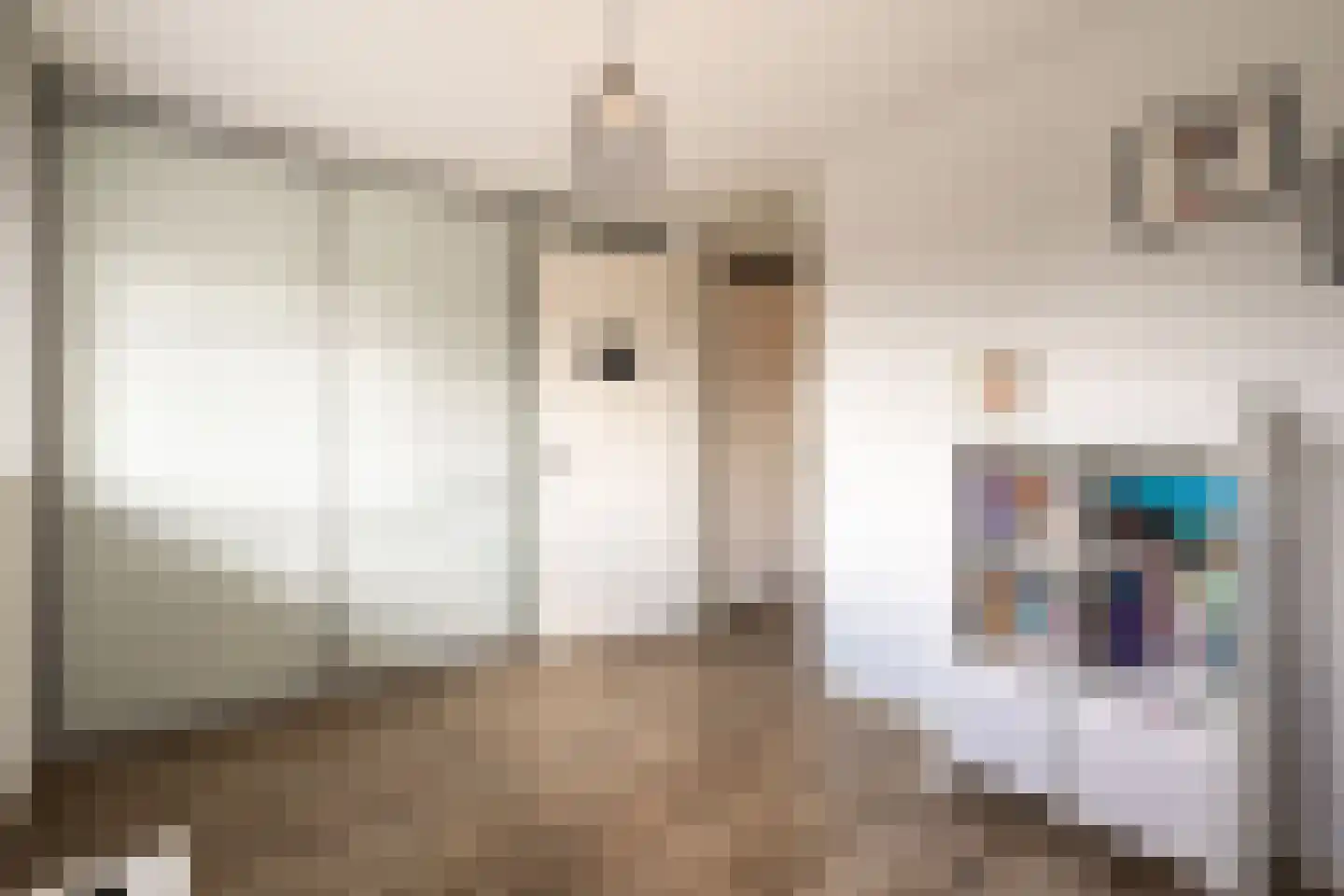 Het Reut 301 Berghem thumbnail 15