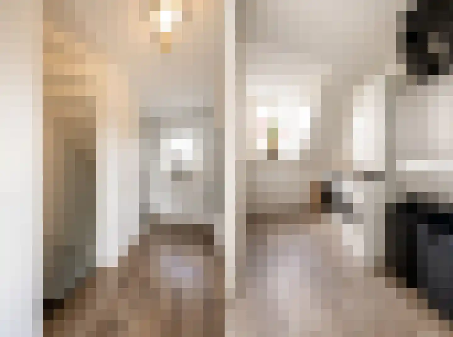 Het Reut 301 Berghem thumbnail 17