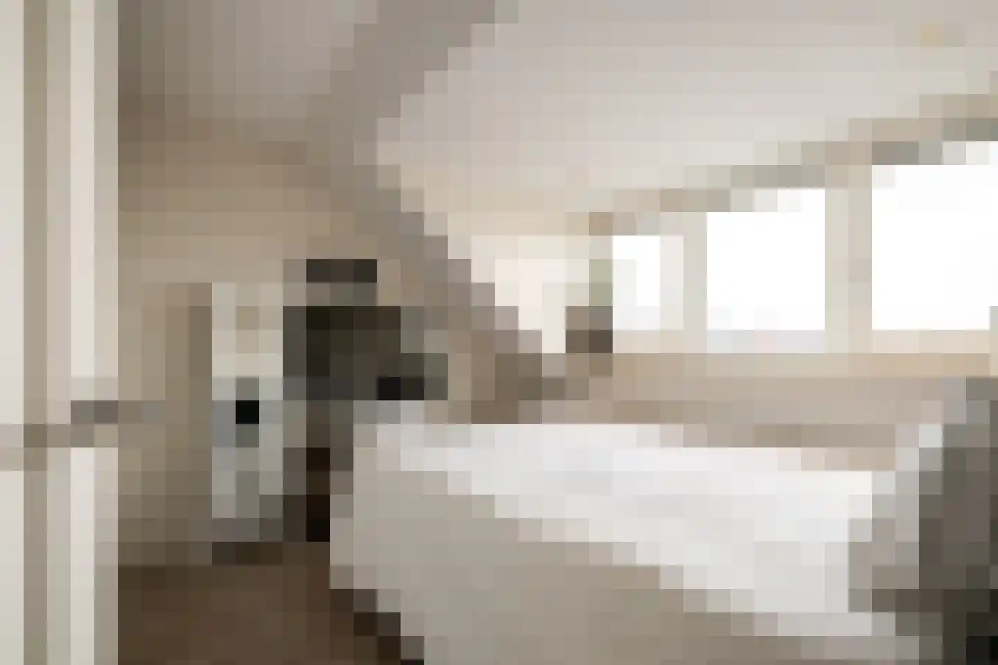Het Reut 301 Berghem thumbnail 18