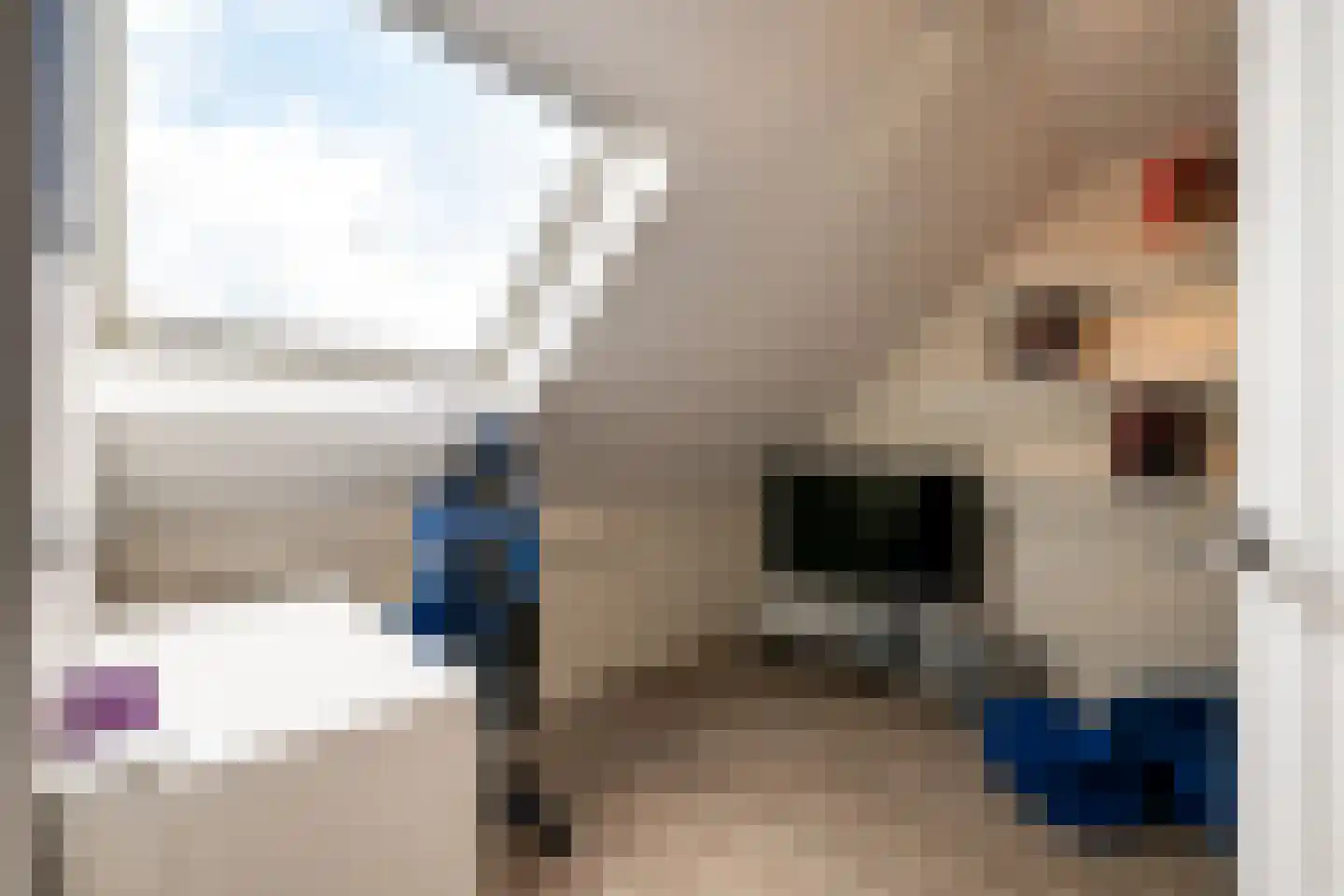 Het Reut 301 Berghem thumbnail 19