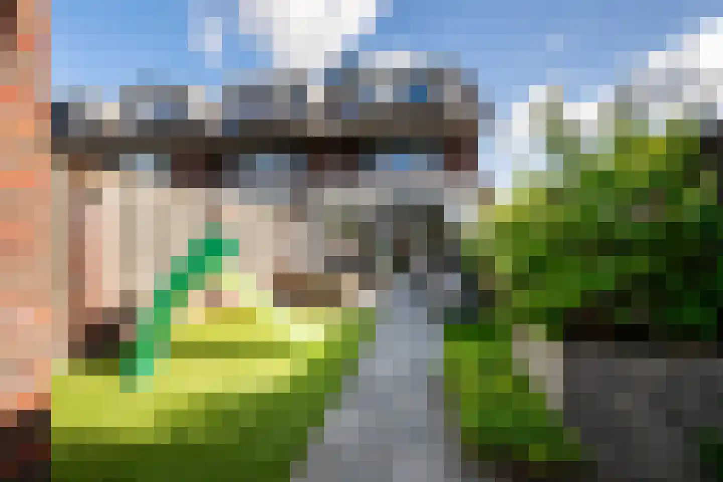 Het Reut 301 Berghem thumbnail 22