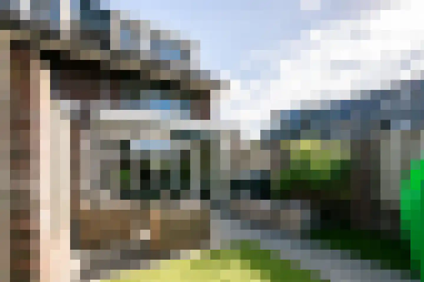 Het Reut 301 Berghem thumbnail 23