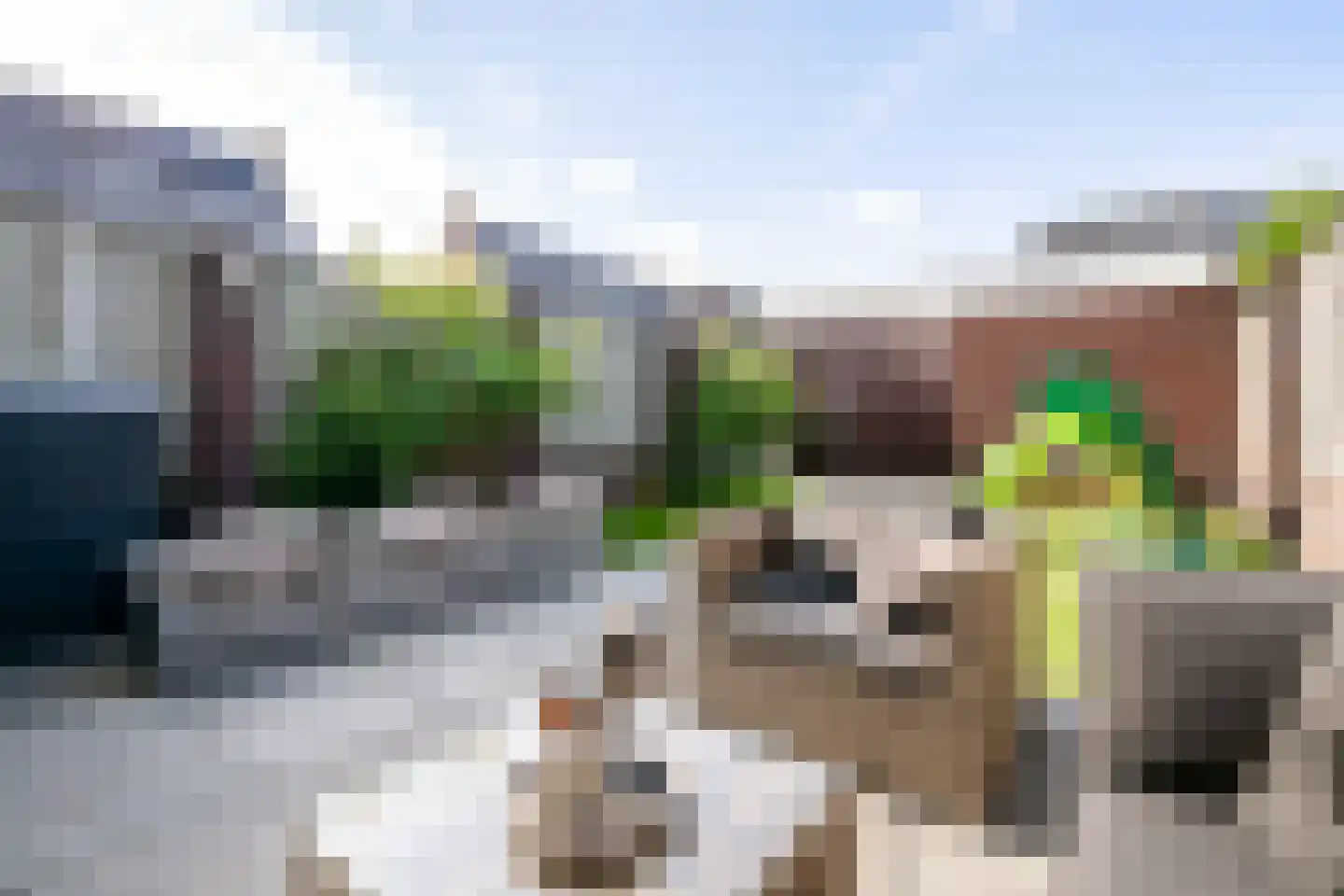 Het Reut 301 Berghem thumbnail 24
