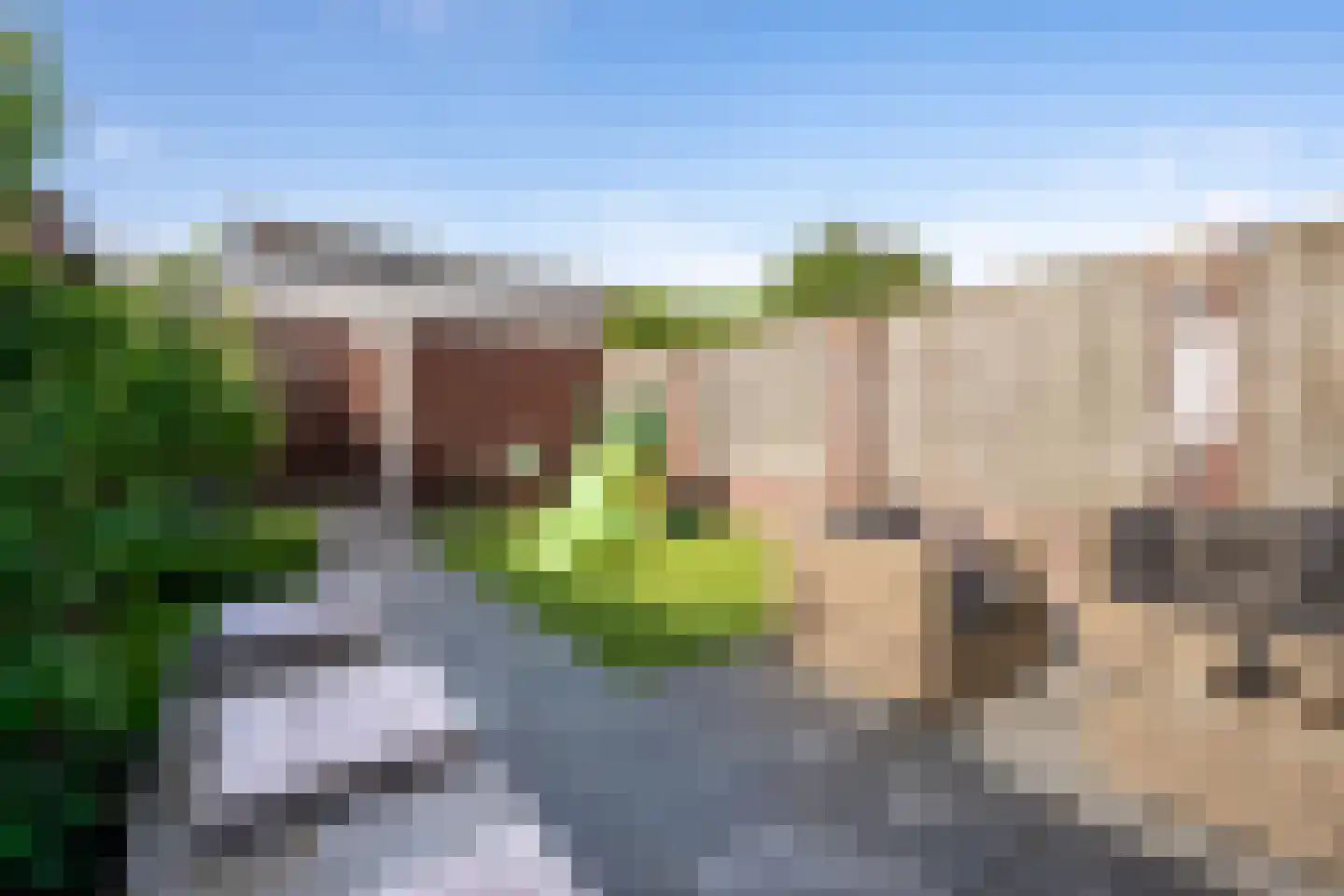 Het Reut 301 Berghem thumbnail 25