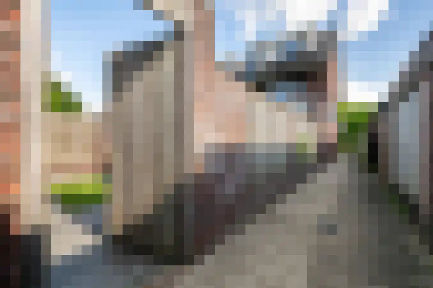 Het Reut 301 Berghem thumbnail 27