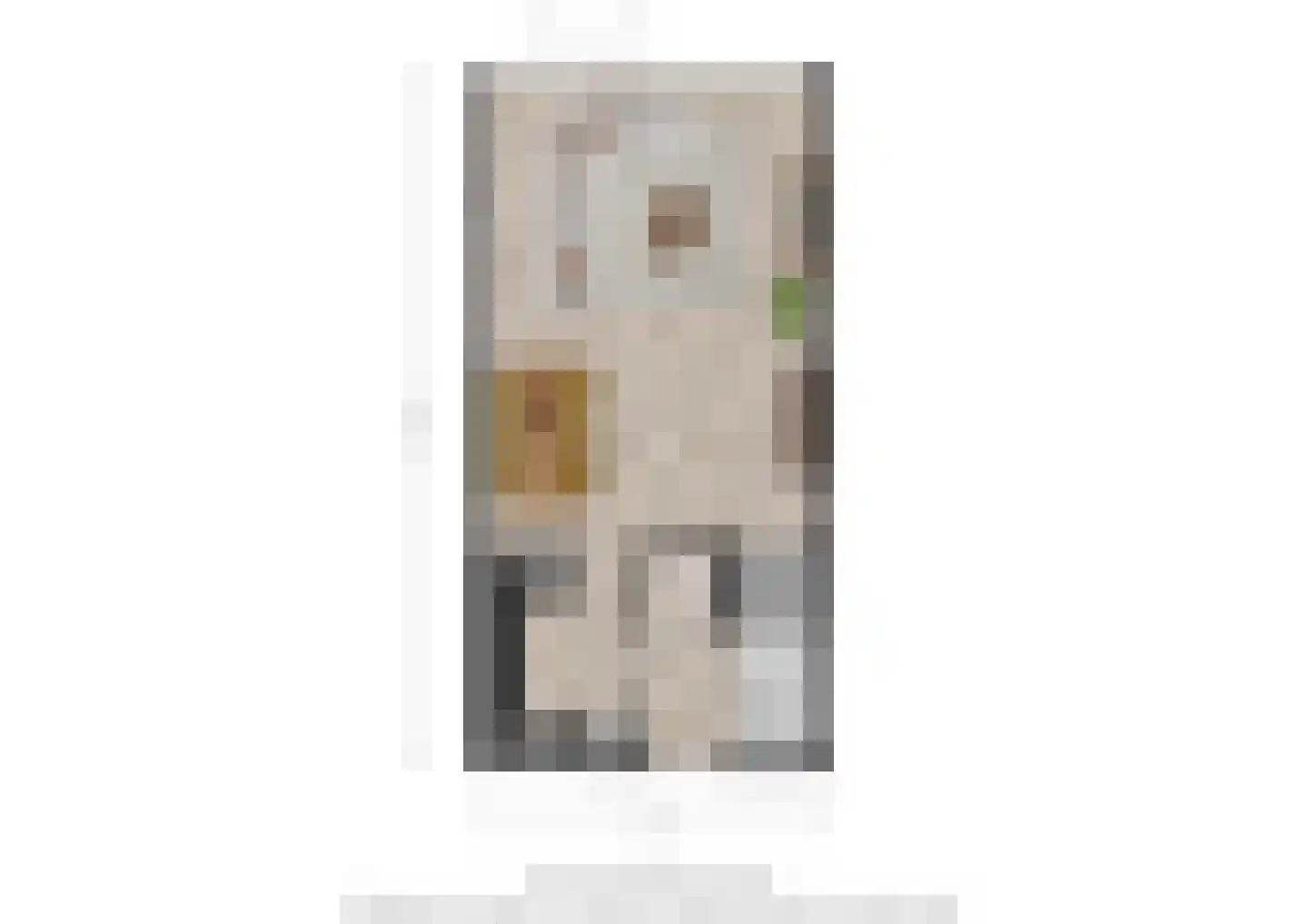 Het Reut 301 Berghem thumbnail 29