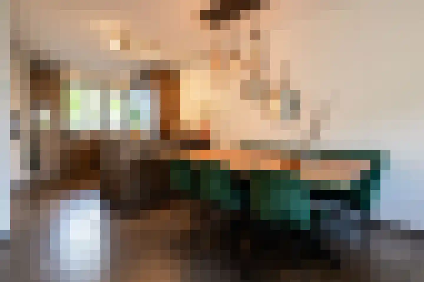 Het Reut 301 Berghem foto 3