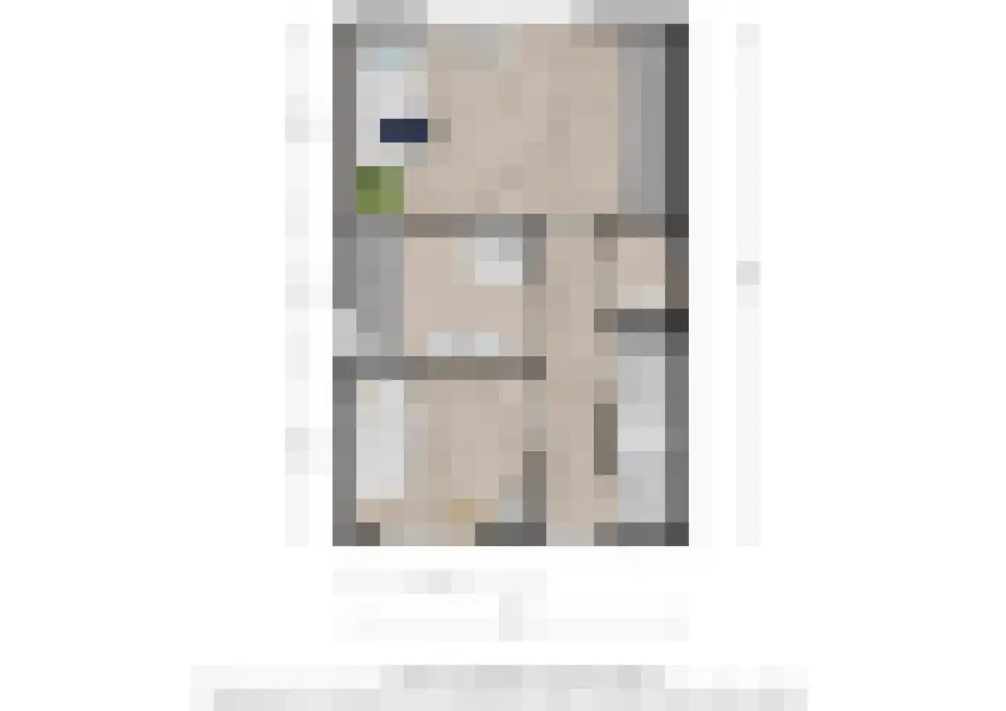 Het Reut 301 Berghem thumbnail 30