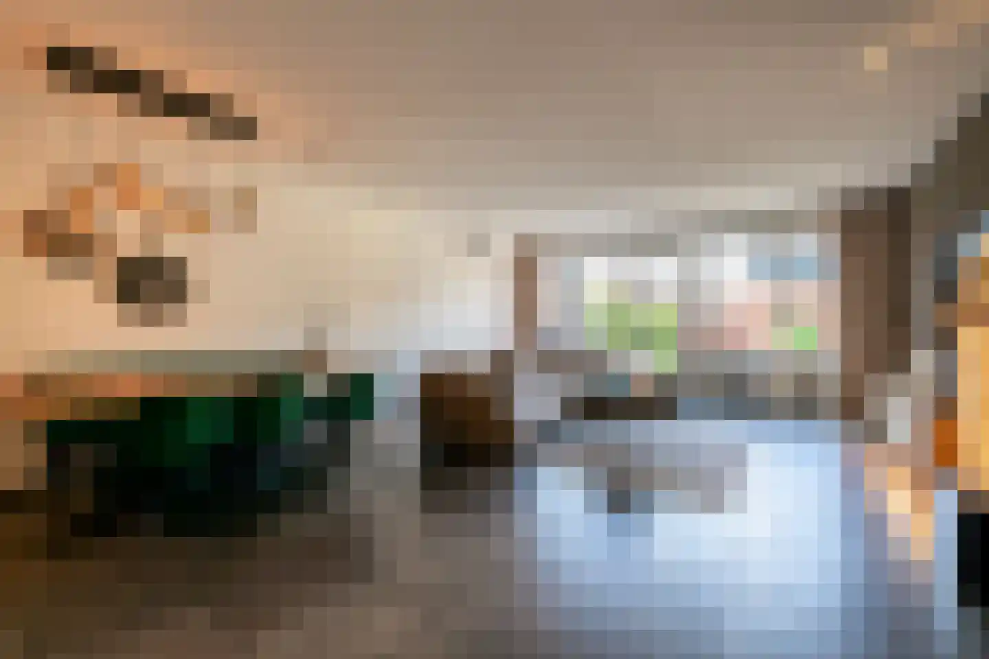 Het Reut 301 Berghem thumbnail 7