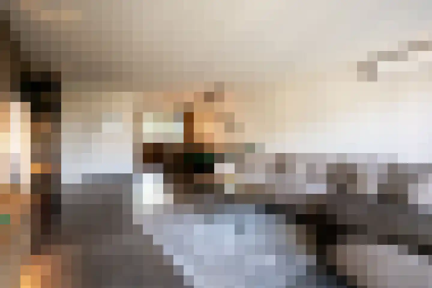 Het Reut 301 Berghem thumbnail 9