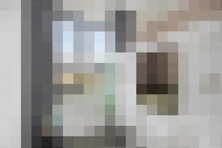 Het Reut 310 Berghem thumbnail 13