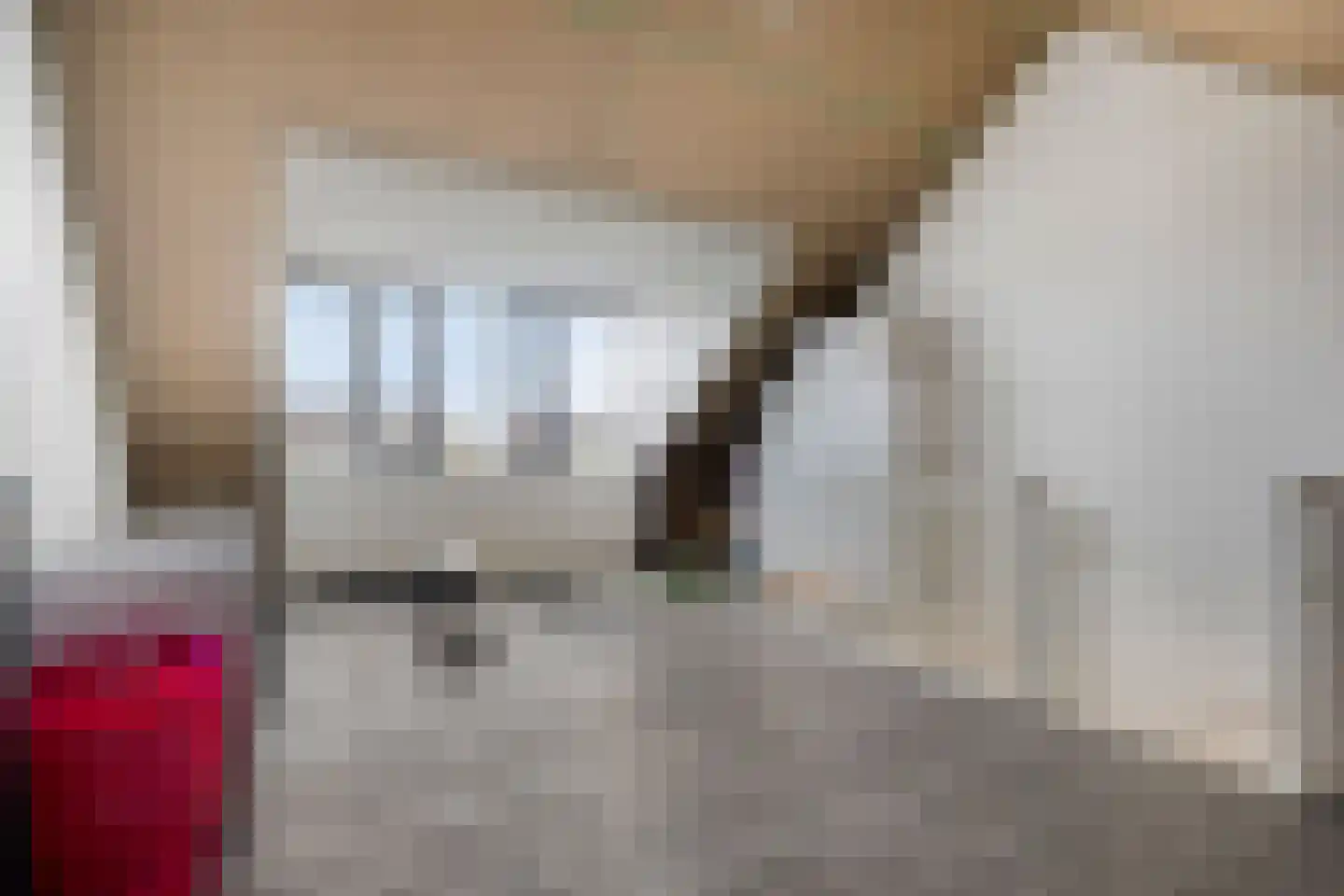 Het Reut 310 Berghem thumbnail 18