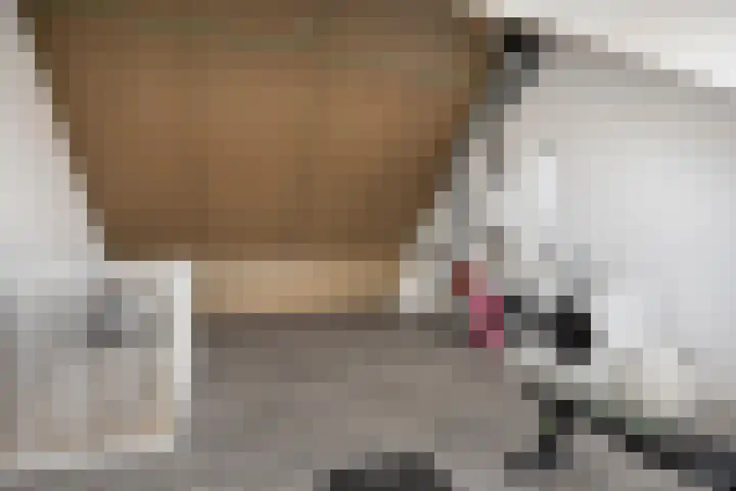 Het Reut 310 Berghem thumbnail 19
