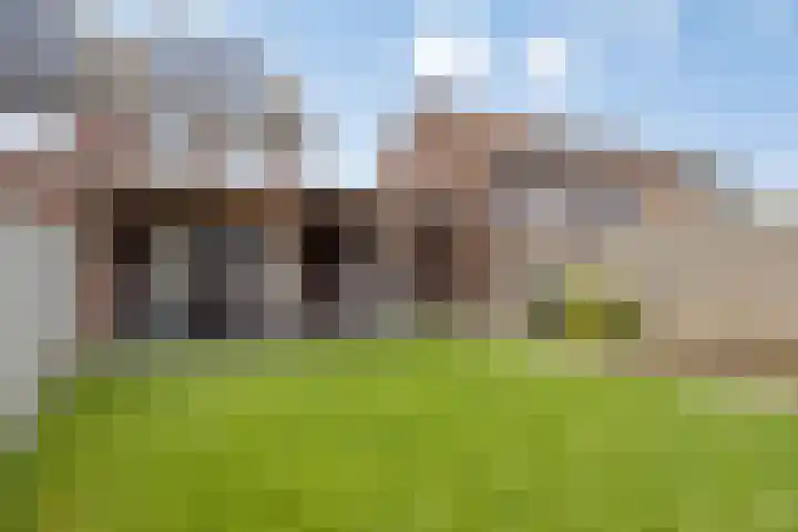 Het Reut 310 Berghem foto 2