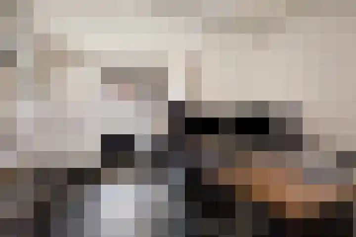 Het Reut 310 Berghem thumbnail 20