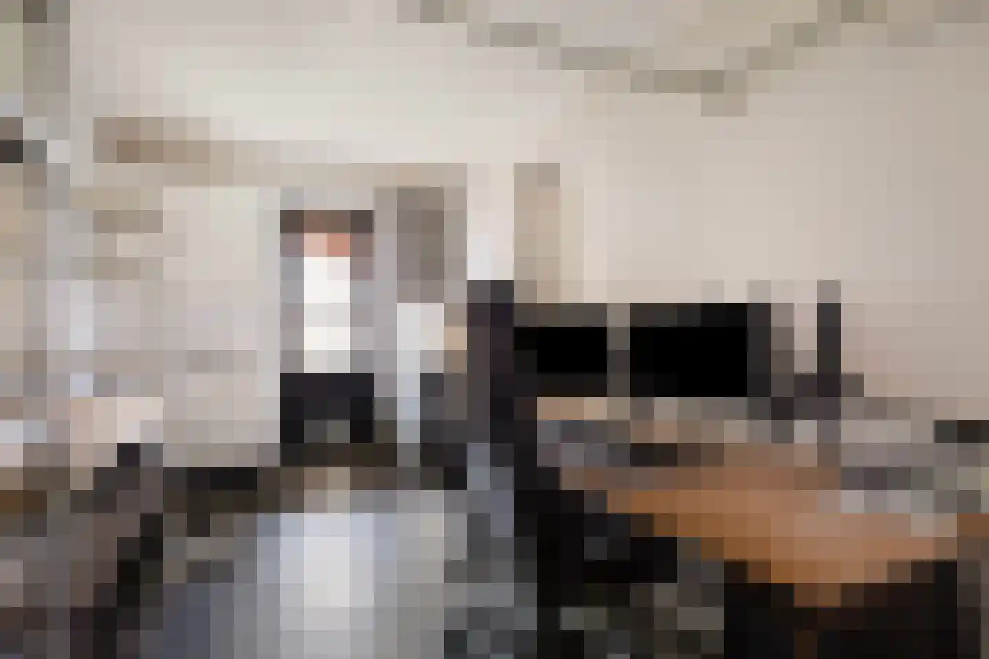 Het Reut 310 Berghem thumbnail 20