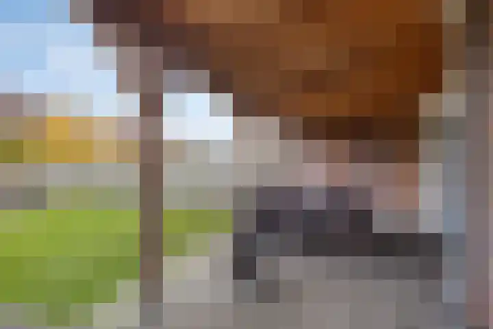 Het Reut 310 Berghem thumbnail 22