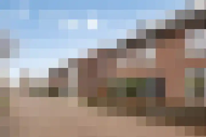 Het Reut 310 Berghem thumbnail 25