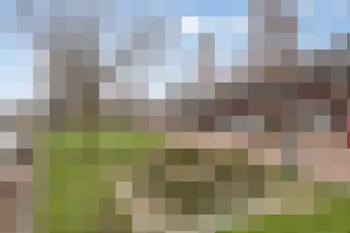 Het Reut 310 Berghem thumbnail 26