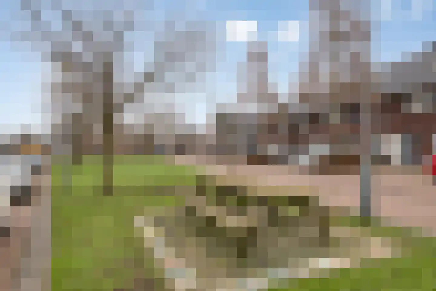 Het Reut 310 Berghem thumbnail 26