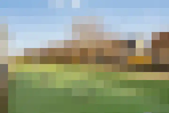 Het Reut 310 Berghem thumbnail 27