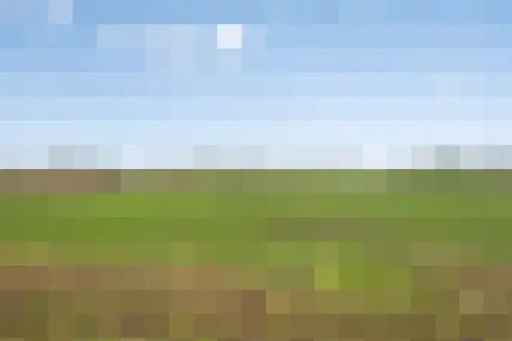 Het Reut 310 Berghem thumbnail 28
