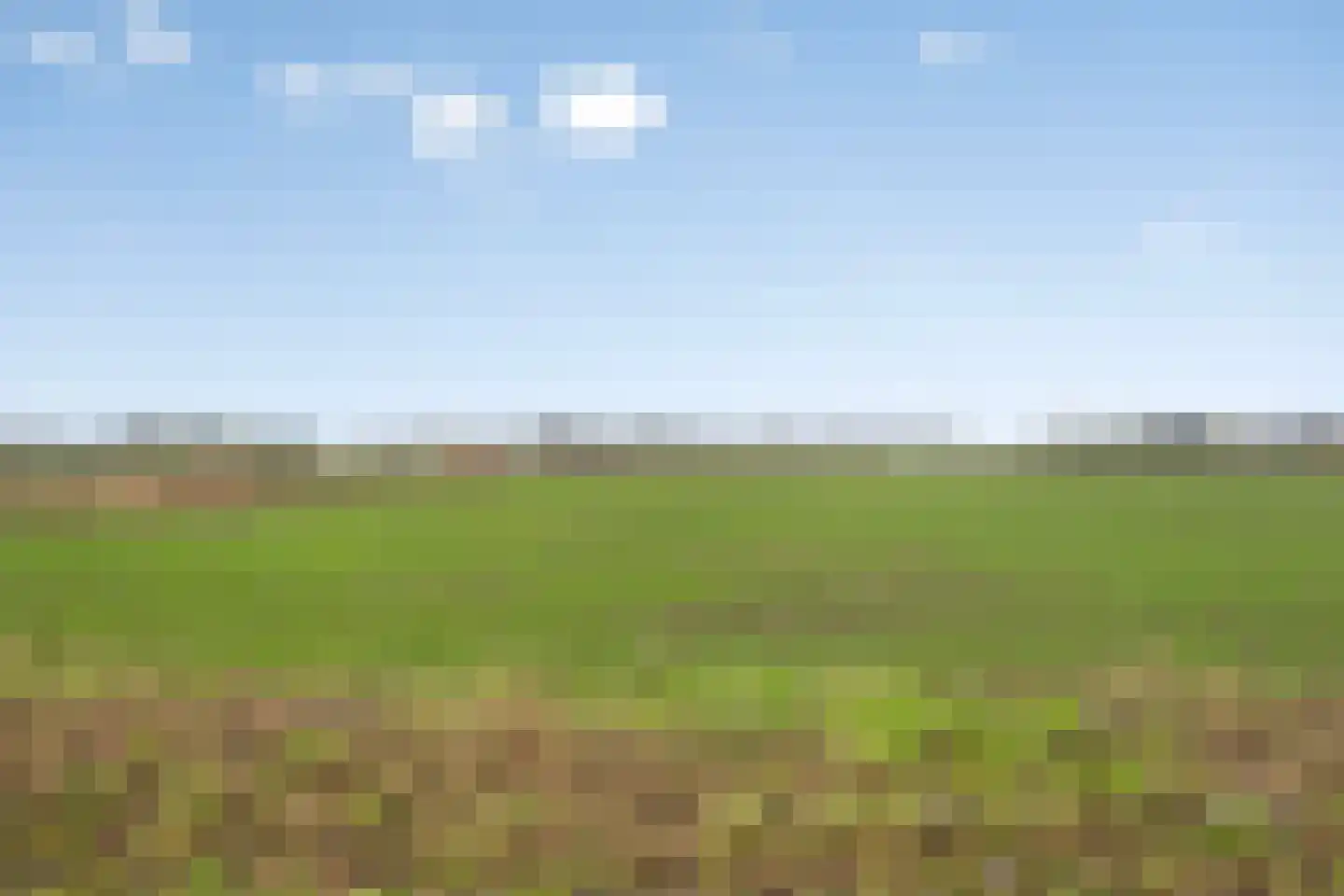 Het Reut 310 Berghem thumbnail 28
