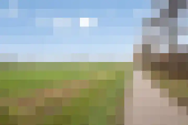 Het Reut 310 Berghem thumbnail 29