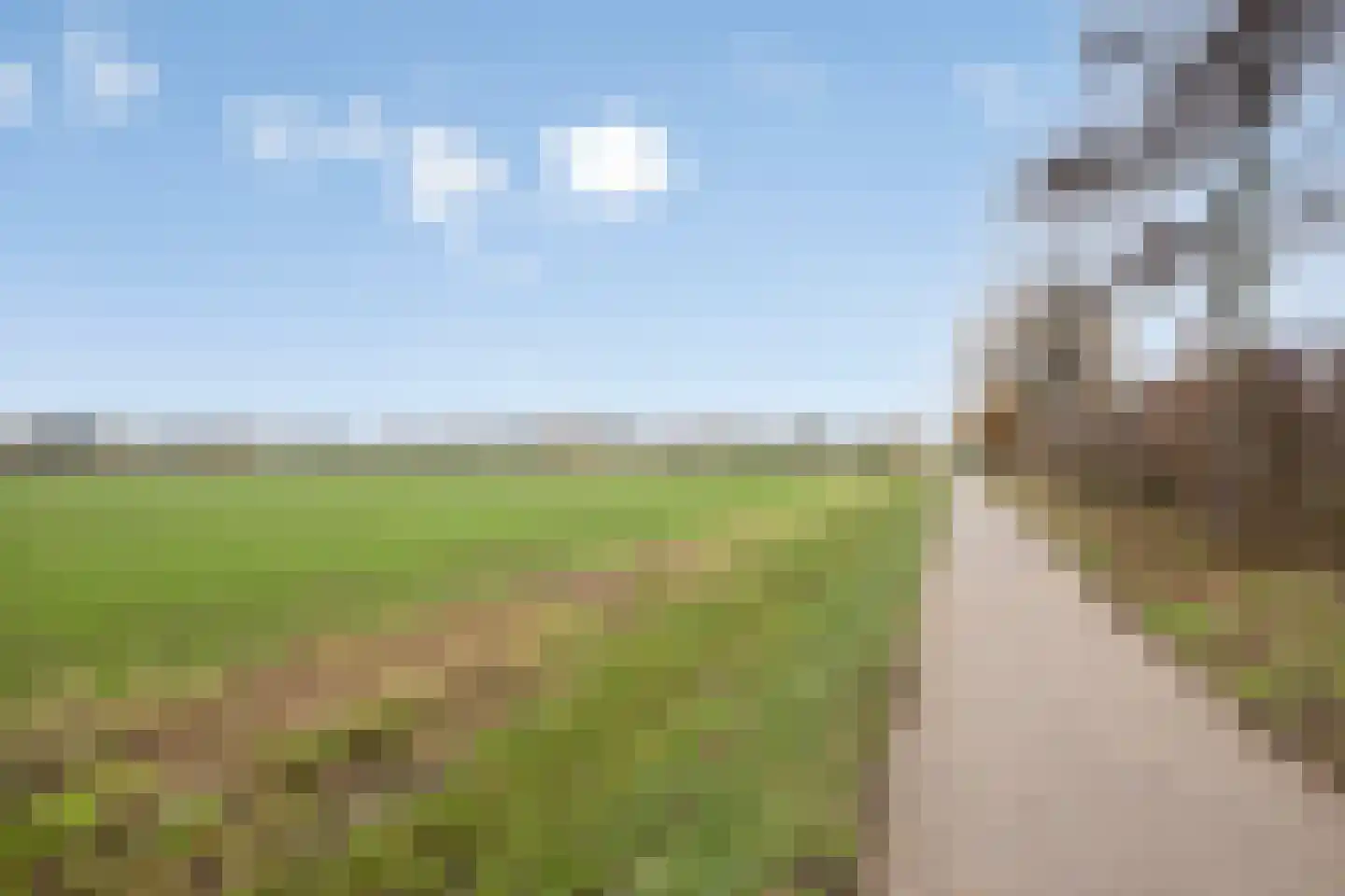 Het Reut 310 Berghem thumbnail 29
