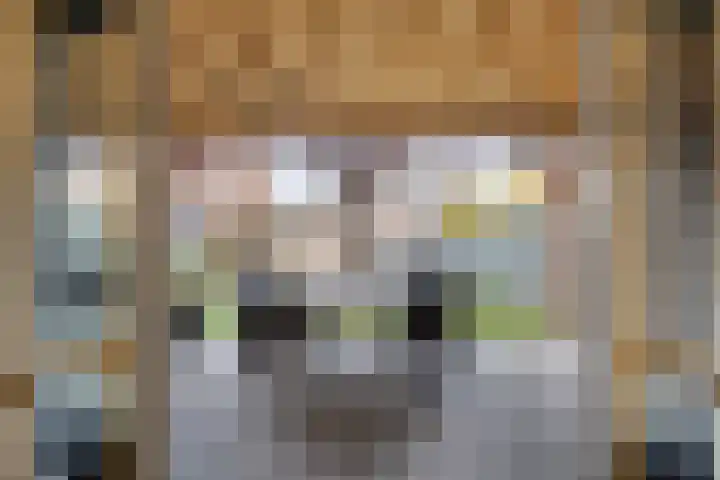Het Reut 310 Berghem thumbnail 4