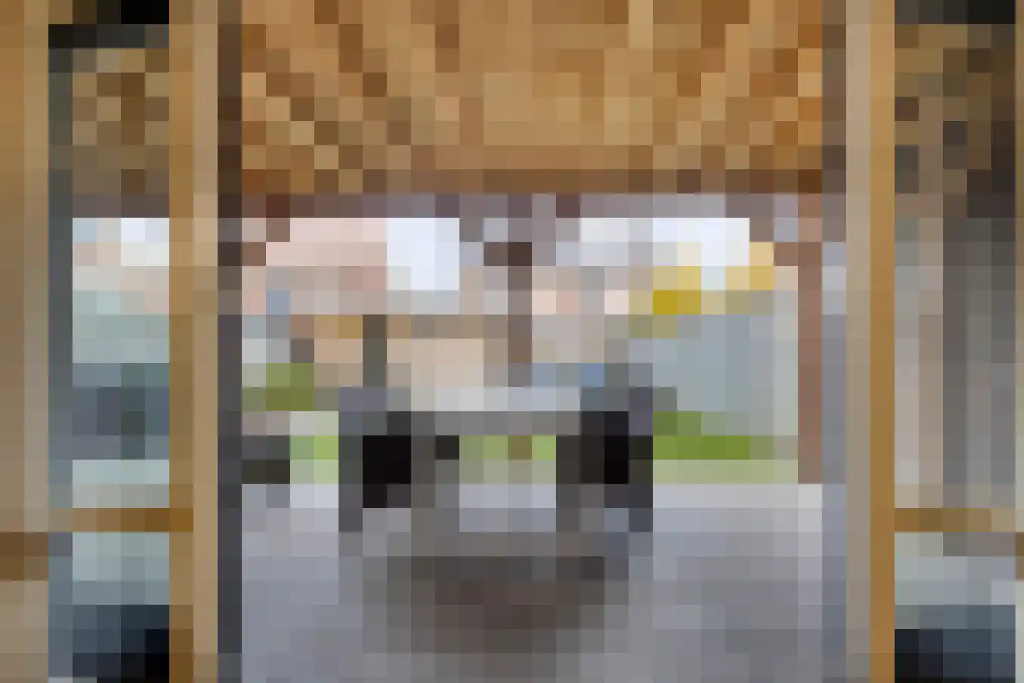 Het Reut 310 Berghem thumbnail 4