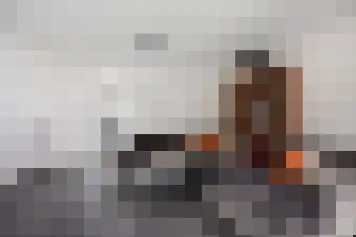 Het Reut 310 Berghem thumbnail 5