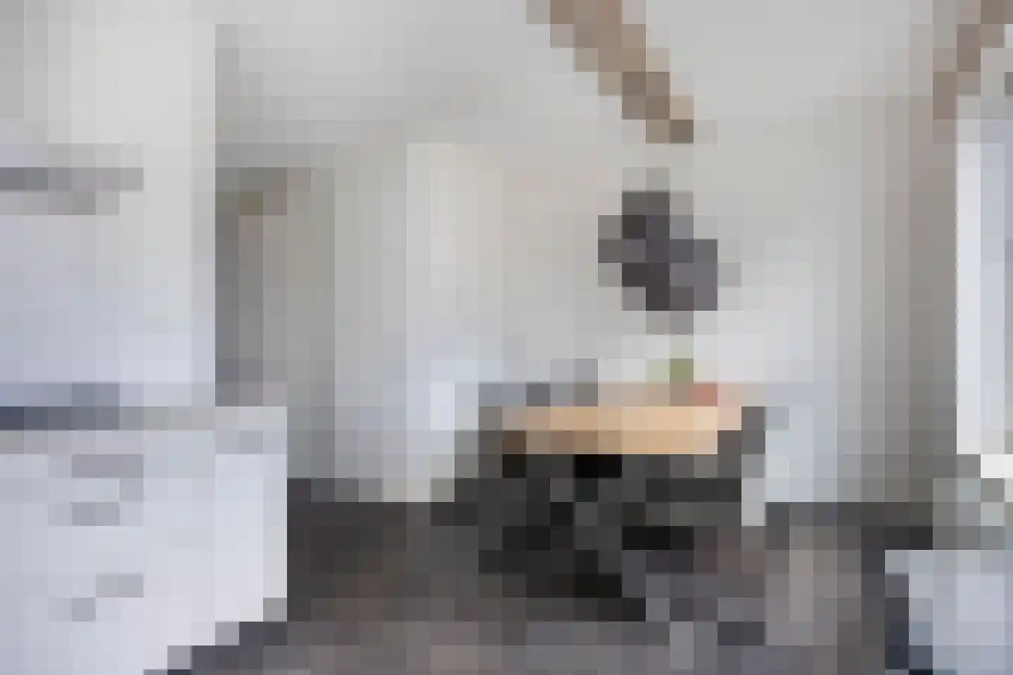 Het Reut 310 Berghem thumbnail 6