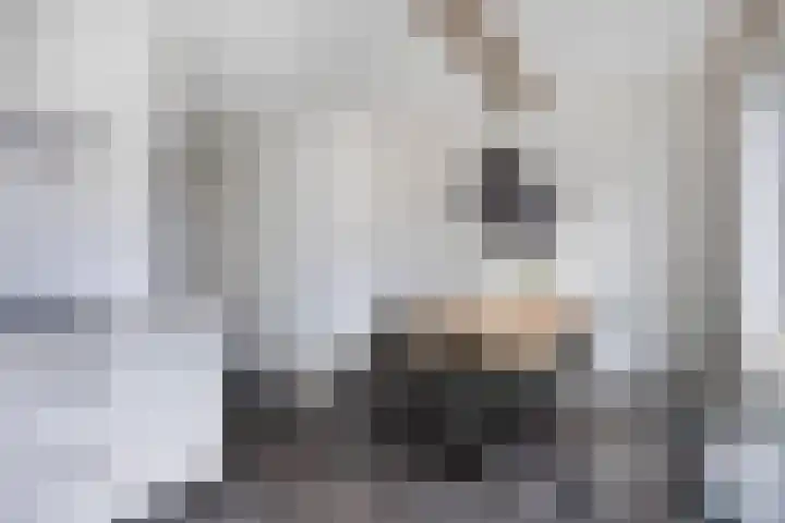 Het Reut 310 Berghem thumbnail 6