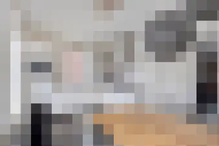 Het Reut 310 Berghem thumbnail 7