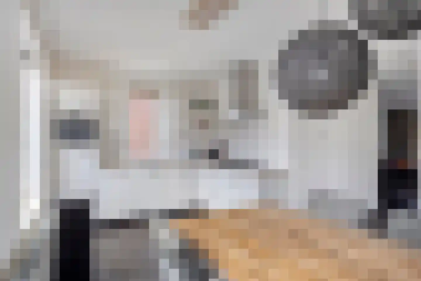 Het Reut 310 Berghem thumbnail 7
