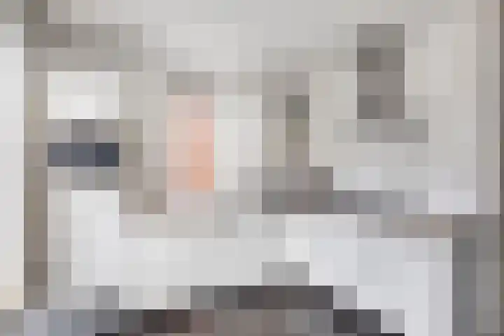 Het Reut 310 Berghem thumbnail 8
